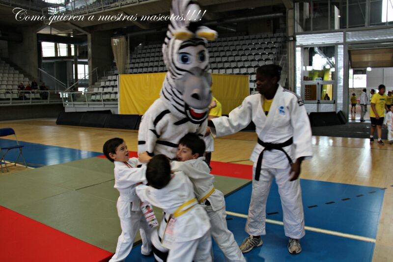 II festival de judo infantil